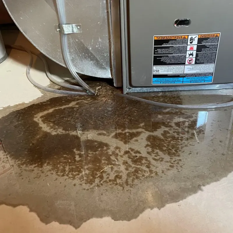 Pipe Burst and Leak Restoration in Pottawatomie County, OK